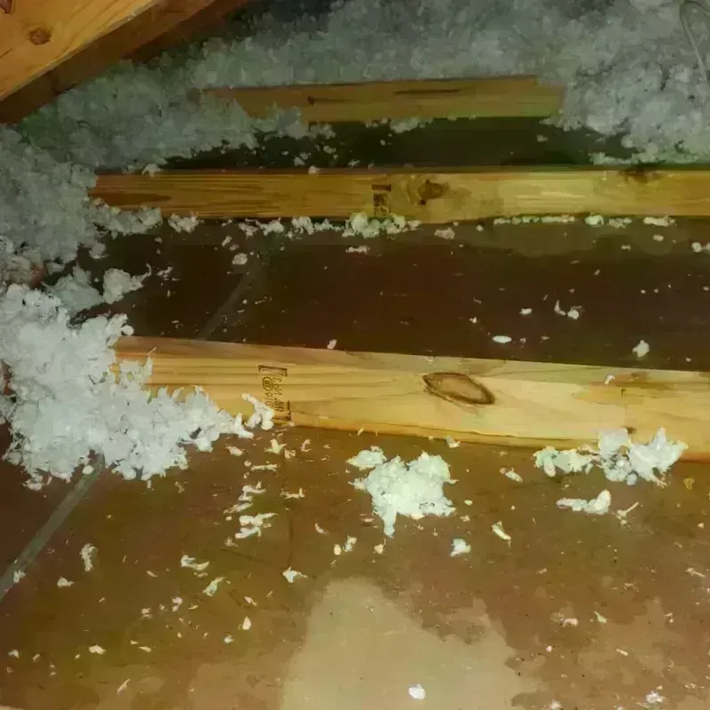 Attic Water Damage in Boron, CA